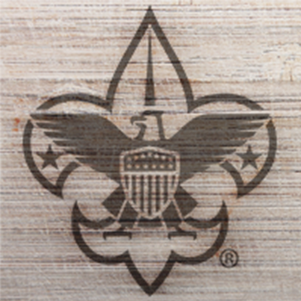Social media logo for the Atlanta Area Council of the Boy Scouts of America